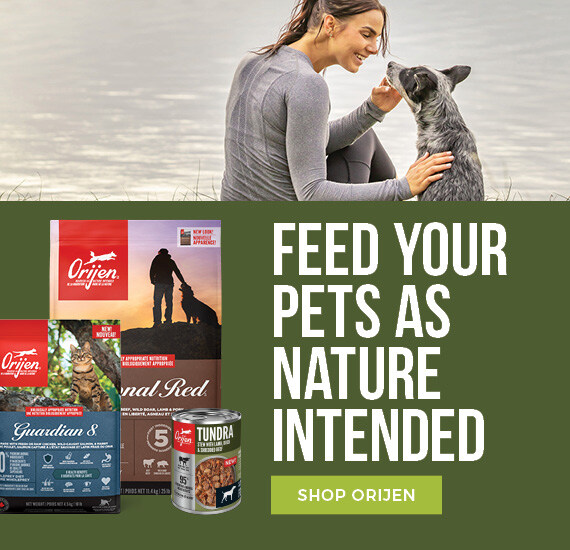 Best canadian puppy food best sale